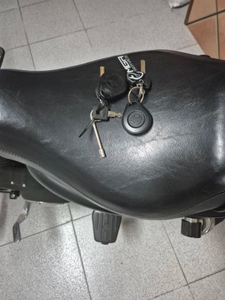 Harley Davidson 883 Iron Beige/Negro