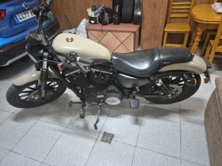 Harley Davidson 883 Iron Beige/Negro