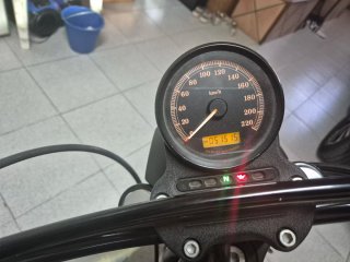 Harley Davidson 883 Iron Beige/Negro