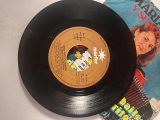 Disco Vinilo Maria Jesus Y Su Acordeon
