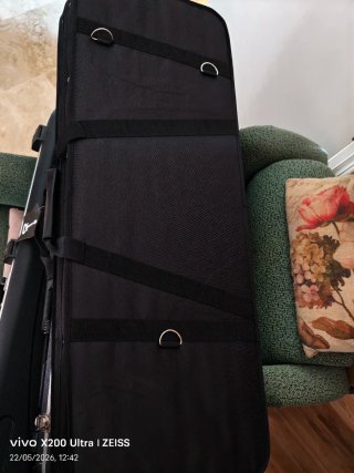 Charvel GigBag Guitar