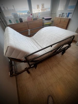 Cama articulada con mando y barandillas