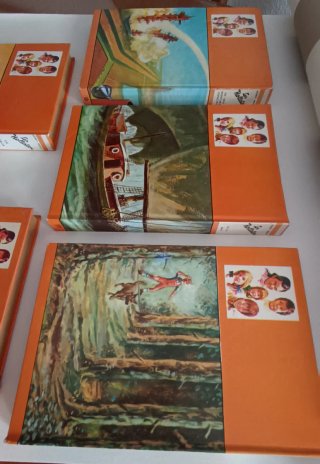 Libros Los Hollister