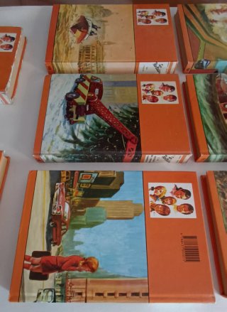 Libros Los Hollister