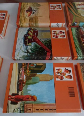 Libros Los Hollister