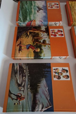 Libros Los Hollister