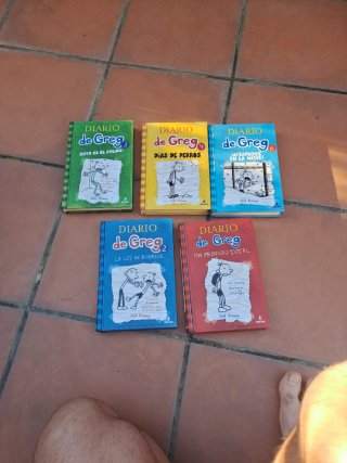 Colección libros juveniles Diario de Greg
