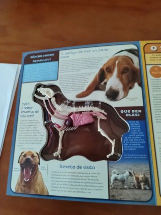 Libro " Un perro en 3D" en galego