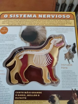 Libro " Un perro en 3D" en galego