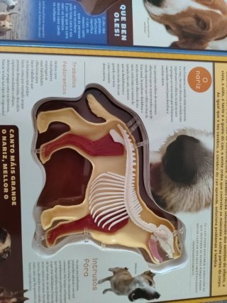 Libro " Un perro en 3D" en galego