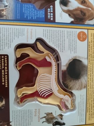 Libro " Un perro en 3D" en galego