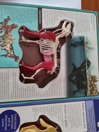 Libro " Un perro en 3D" en galego