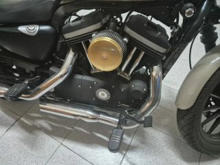 Harley Davidson 883 Iron Beige/Negro