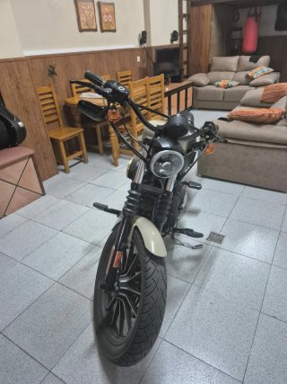 Harley Davidson 883 Iron Beige/Negro