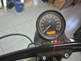 Harley Davidson 883 Iron Beige/Negro