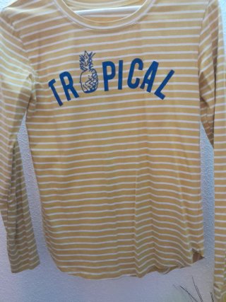 Lote 16 Camisas y Camisetas Talla M, varias marcas