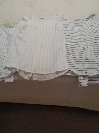 Lote 16 Camisas y Camisetas Talla M, varias marcas