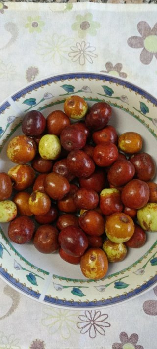 Azufaifo Fruto Grueso