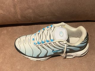 Nike TN Azul Blanco
