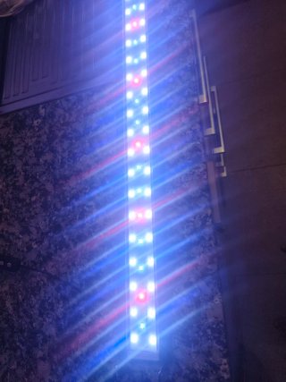 Lámpara LED Acuario 60cm Extensible 100cm 20W