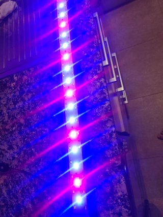 Lámpara LED Acuario 60cm Extensible 100cm 20W