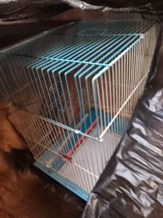Jaula para pájaros