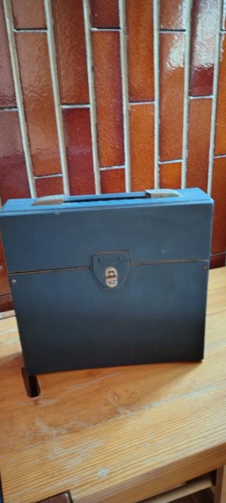 Vinile Linguaphone 78 giri