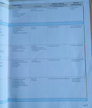 Francés Profesional A1/A2+ libreta correcciones.