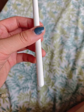 Apple Pencil 2ª Gen