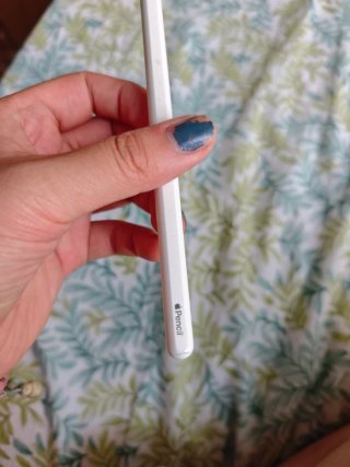 Apple Pencil 2ª Gen