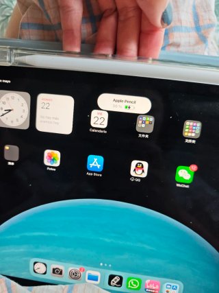Apple Pencil 2ª Gen
