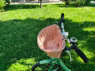 Bicicleta plegable vintage
