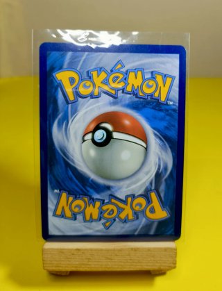 Carta Pokémon Mega-Lucario EX 340 HP