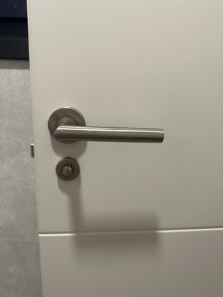 Manetas de puerta de acero inoxidable (5)