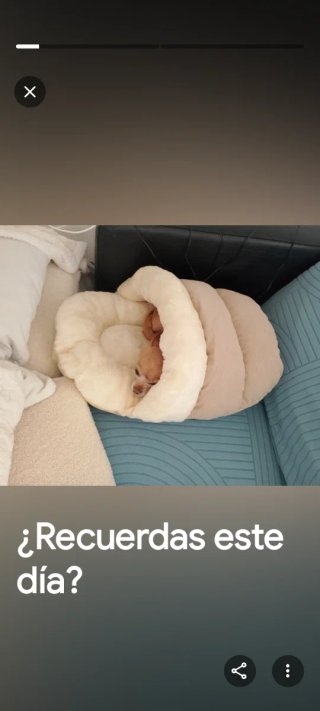 Camita para perro suave