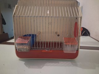 Jaula para pájaros beige y naranja