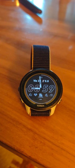 Reloj GPS Garmin Forerunner 955 solar