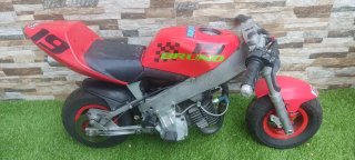 Minimoto Polini 910 4.2 aire
