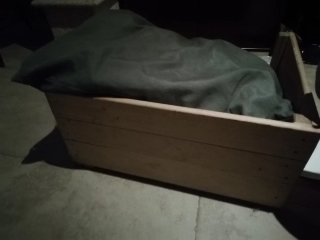 Cama para perro de madera con cojín