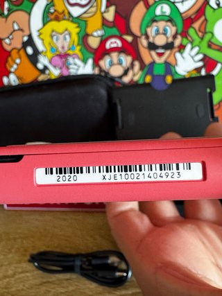 Nintendo Switch Lite Rosa + funda