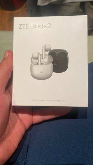 ZTE Buds 2 True Wireless Bluetooth Earphones