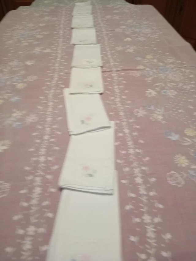 Mantelería  de Organza Bordada Mano 3,50 x 1,70
