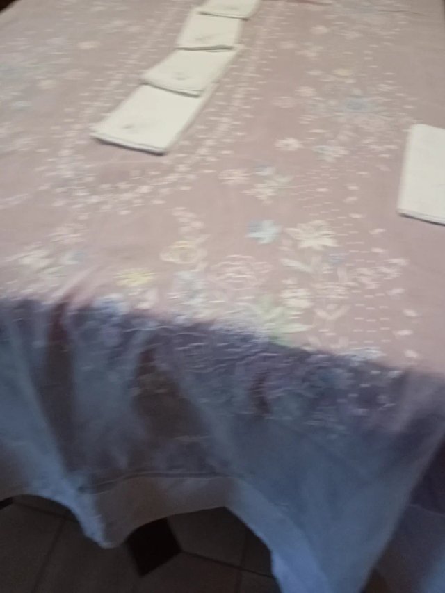 Mantelería  de Organza Bordada Mano 3,50 x 1,70