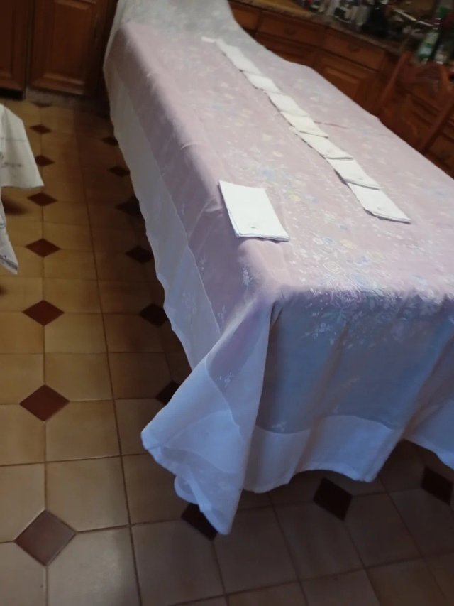 Mantelería  de Organza Bordada Mano 3,50 x 1,70