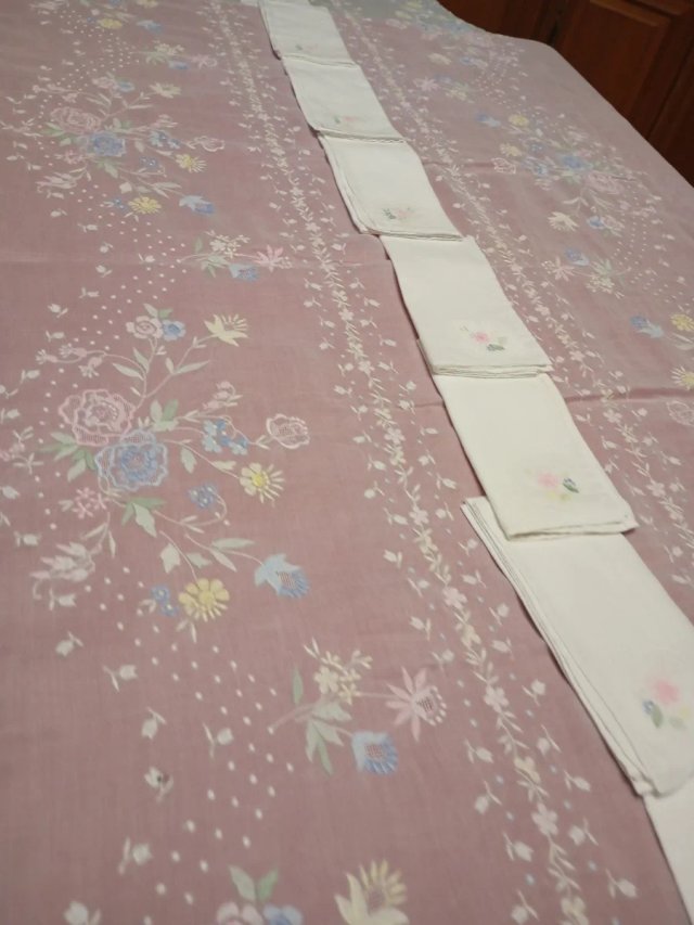 Mantelería  de Organza Bordada Mano 3,50 x 1,70