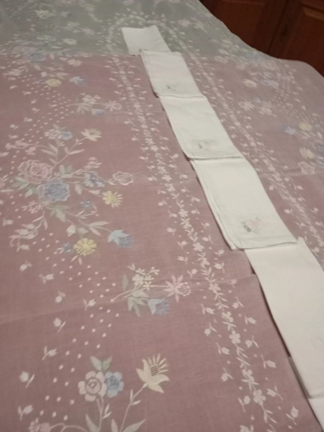 Mantelería  de Organza Bordada Mano 3,50 x 1,70