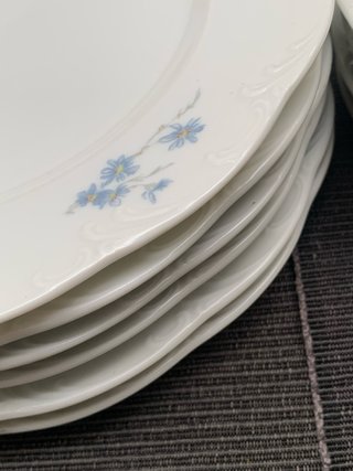 Rosenthal Juego 12 Platos Porcelana Vintage
