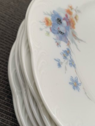 Rosenthal Juego 12 Platos Porcelana Vintage