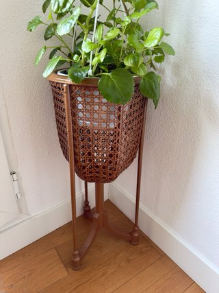 Planta verde en maceta de mimbre