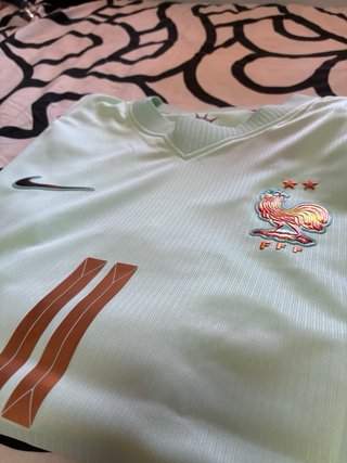 Camiseta Nike Francia Verde